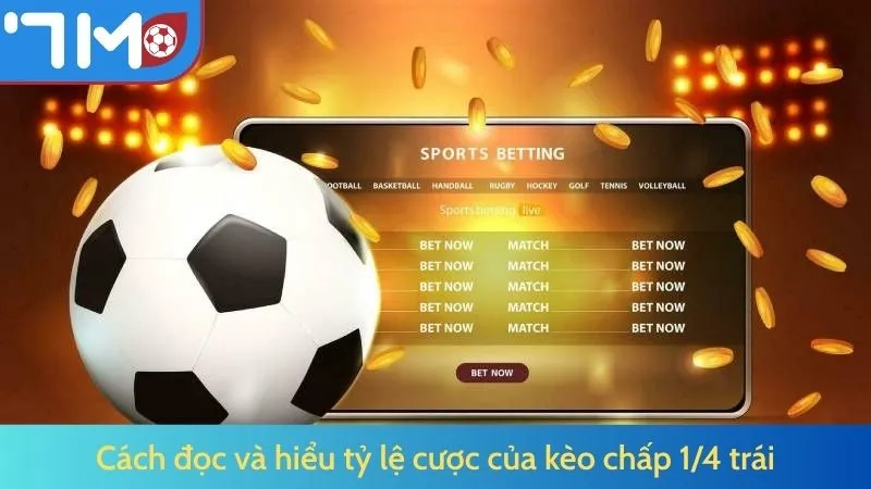 Cách đọc và hiểu tỷ lệ cược của kèo 1/4 trái